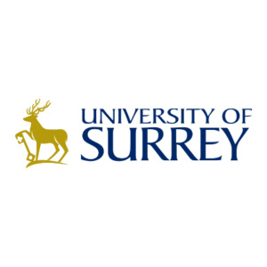 University of Surrey 6GIC